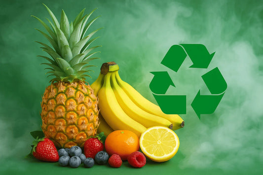 Puffs Rechargeables vs Jetables : Guide Économique et Écologique 2025
