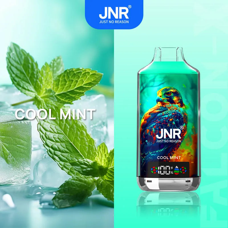 Puff 18000 JNR Falcon X - Gusto Menta Fresca | 24ml Liquido, 20mg Nicotina, 18 000 Sbuffi 10lapuff Puff 18000 JNR Falcon X - Gusto Menta Fresca | 24ml Liquido, 20mg Nicotina, 18 000 Sbuffi 10lapuff