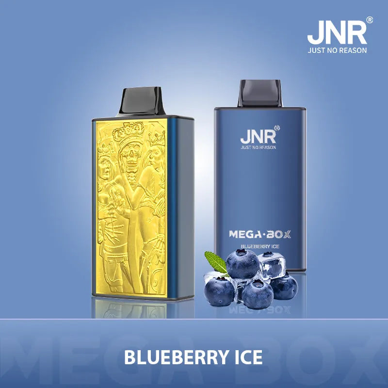 jnr vape device Puff 25000 JNR Mega Box - Blueberry Ice Flavor