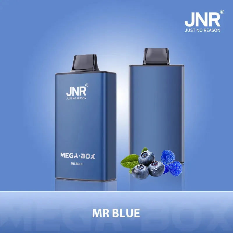 PUFF 25000 JNR MEGA BOX - Mr Blue