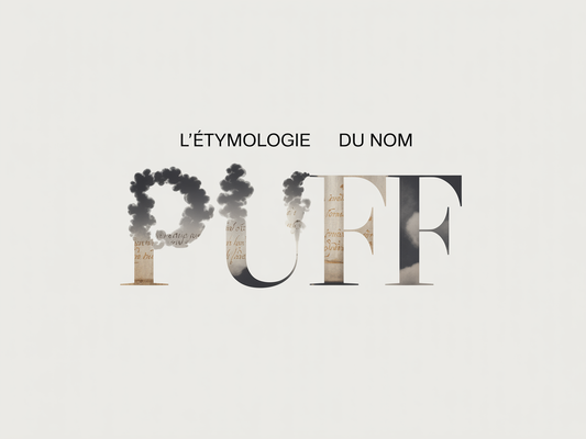 L'étymologie du nom 'Puff' : origine anglaise et évolution