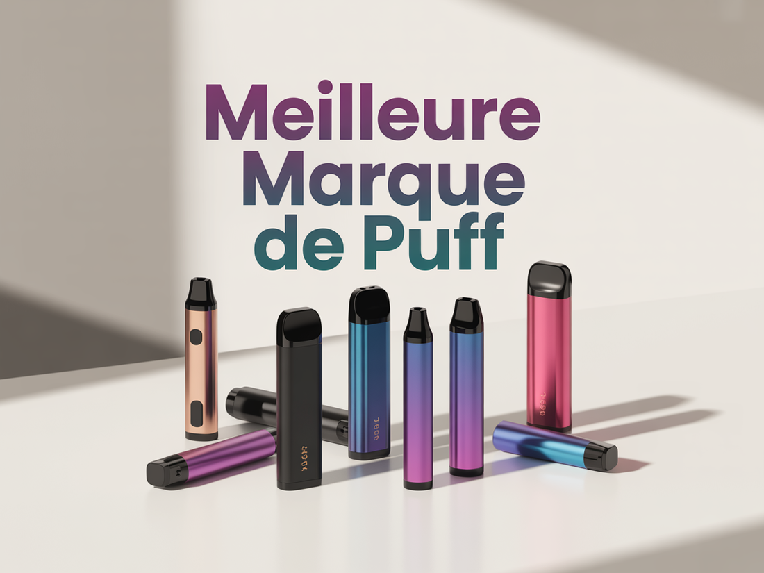 Quelle est la meilleure marque de puff en 2025 ?