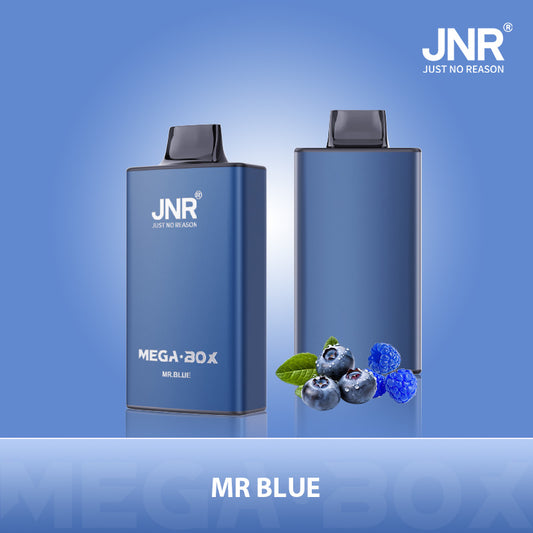 PUFF 25000 JNR MEGA BOX - Mr Blue