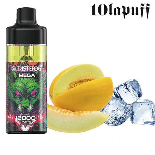 PUFF 12000 TASTEFOG - Melon Glacé - 10lapuff