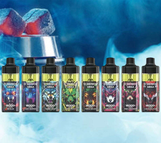 PUFF 12000 TASTEFOG -non jetable- liquide rechargeable- 12 parfums
