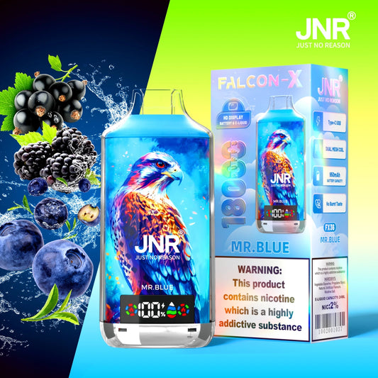 JNR Falcon X 18000 - Mr Blue