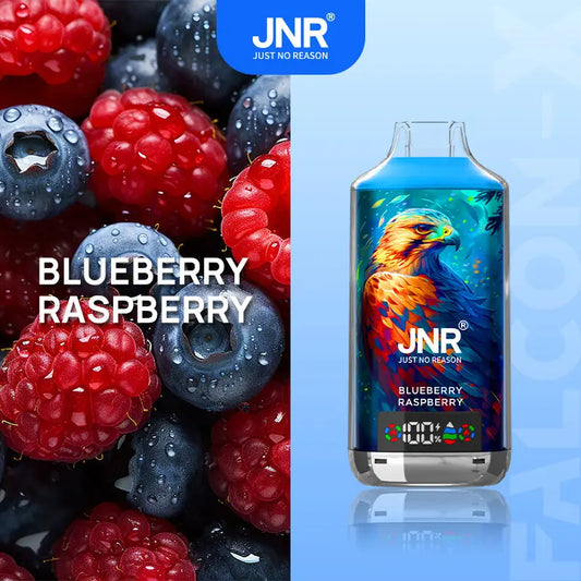 PUFF 18000 JNR FALCON X - Blueberry Raspberry