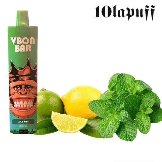 PUFF 9000 VBON - Menthe Citron