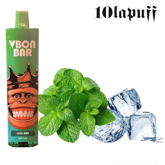 PUFF 9000 VBON - Menthe glacée