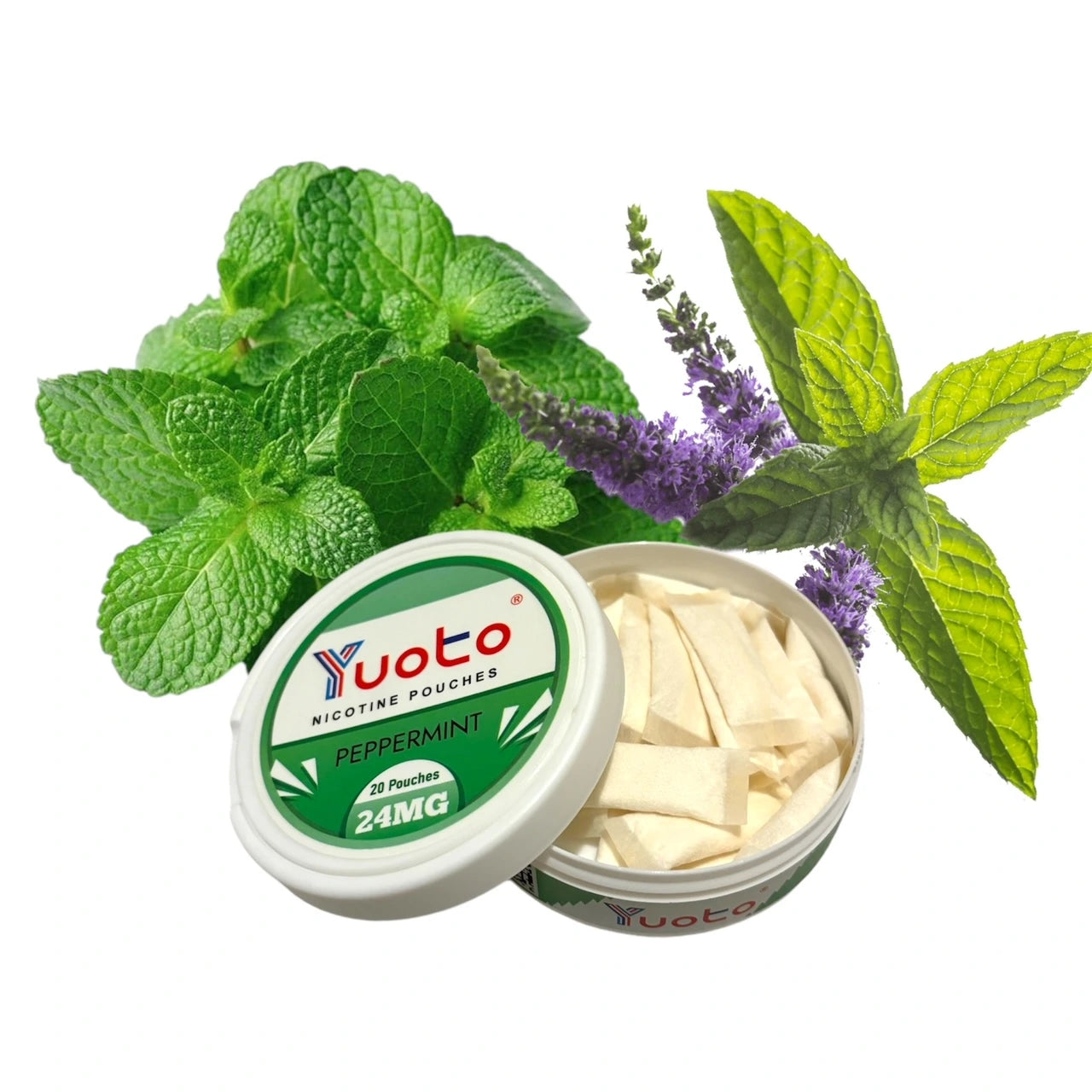YUOTO SNUS Pouches 24mg - Refreshing Peppermint Flavor
